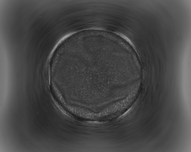 X0000082941123200703020121