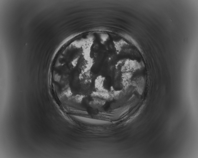 X0000082941125200703020121