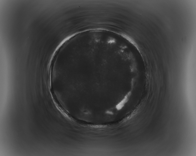 X0000082941127200703020121