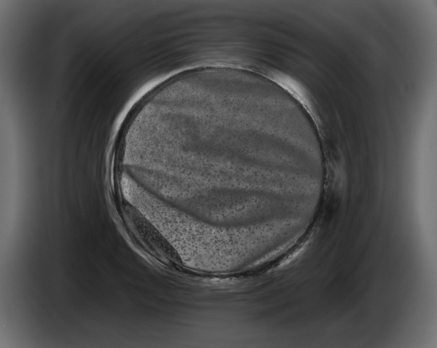 X0000082941128200703020121