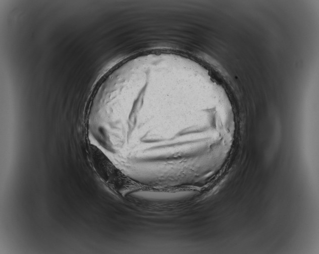 X0000082941129200703020121