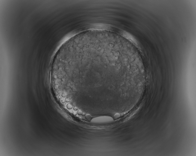 X0000082941130200703020121