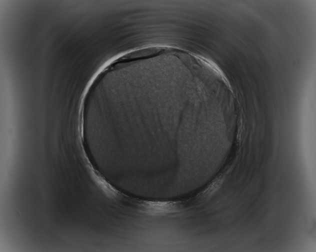 X0000082941132200703020121