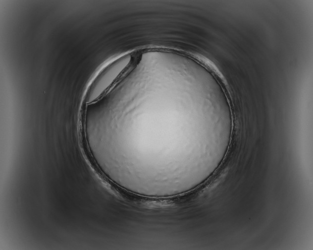 X0000082941133200703020121