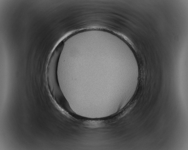 X0000082941134200703020121