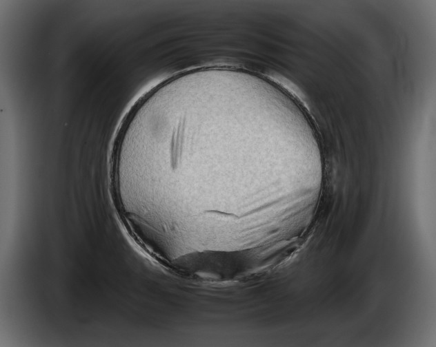 X0000082941135200703020121