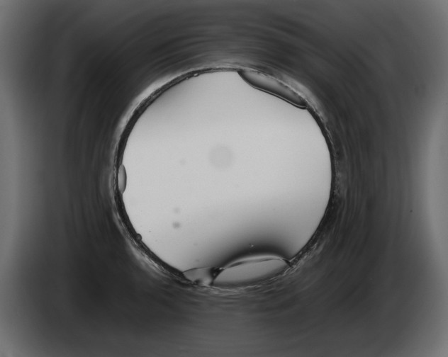 X0000082941136200703020121