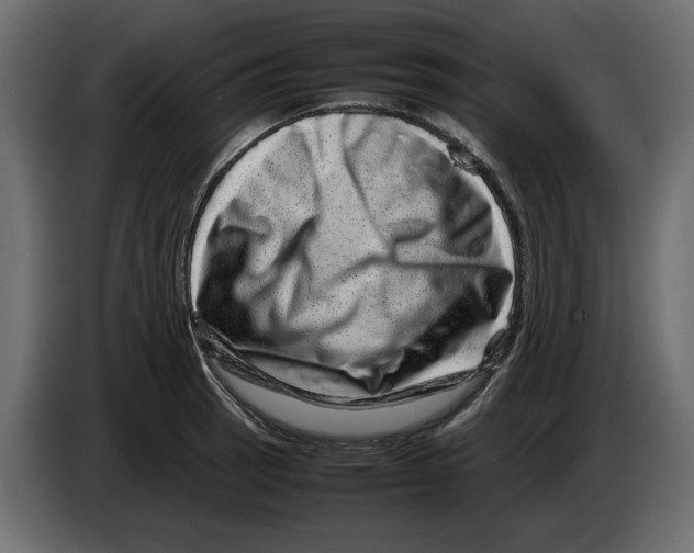 X0000082941137200703020121