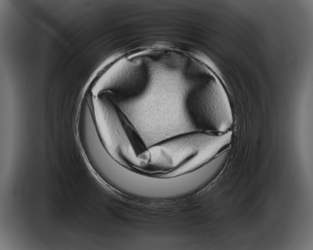 X0000082941139200703020121