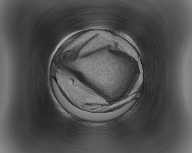 X0000082941140200703020121