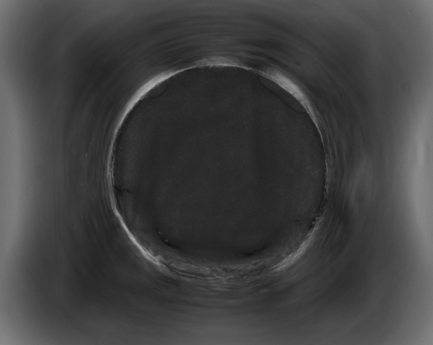 X0000082941141200703020121