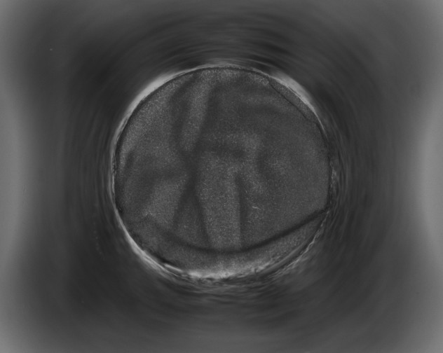 X0000082941143200703020122