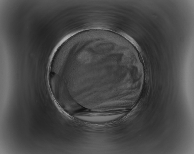 X0000082941144200703020122