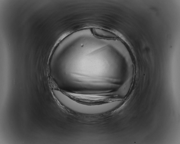 X0000082941145200703020122