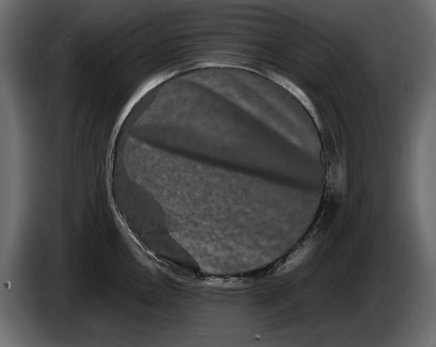 X0000082941146200703020122