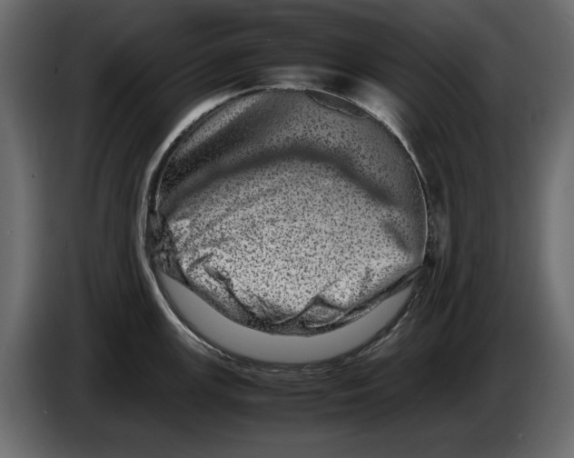 X0000082941147200703020122