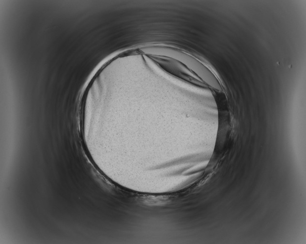 X0000082941148200703020122