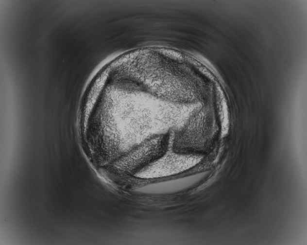 X0000082941149200703020122