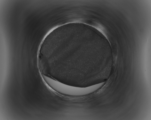 X0000082941151200703020122