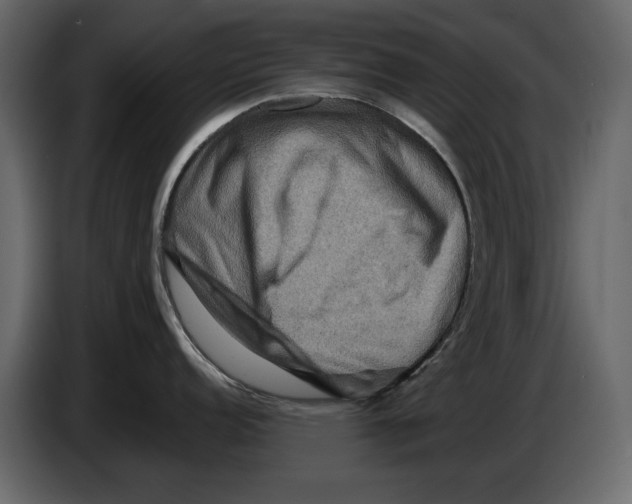 X0000082941152200703020122