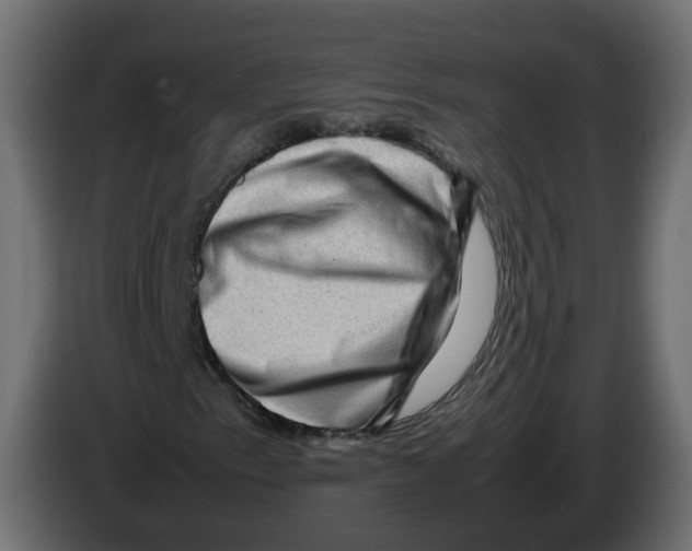 X0000082941153200703020121