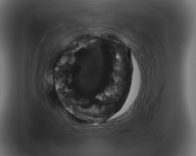 X0000082941155200703020121