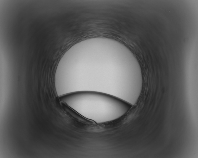 X0000082941156200703020121