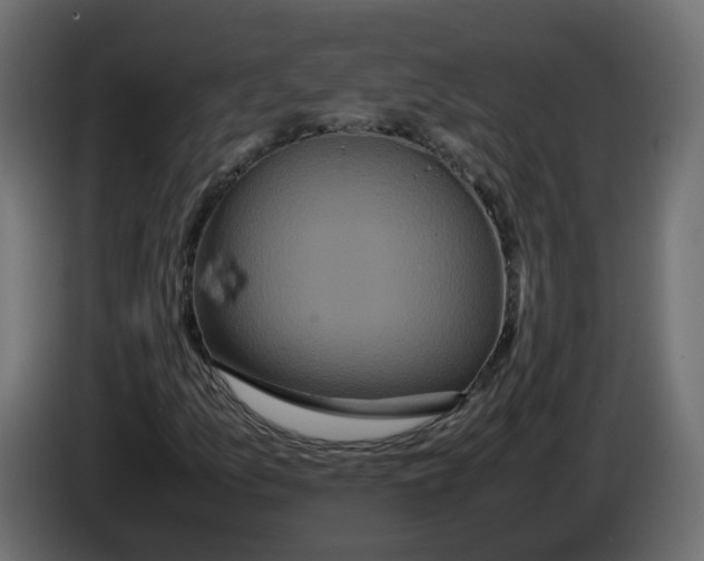 X0000082941157200703020121