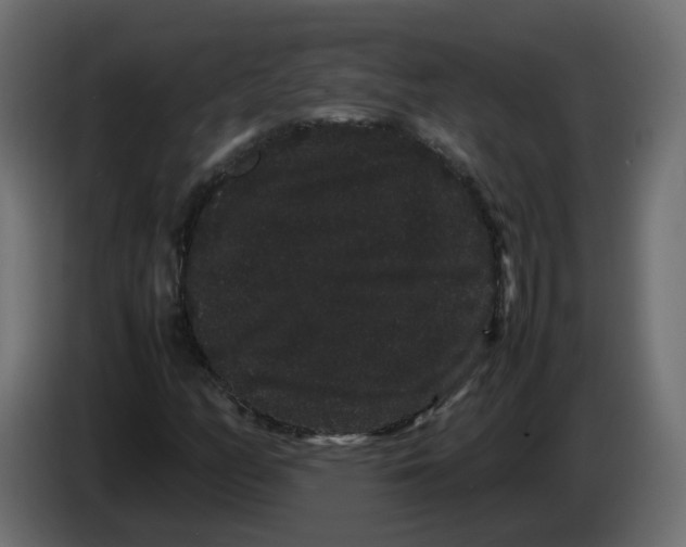 X0000082941158200703020121