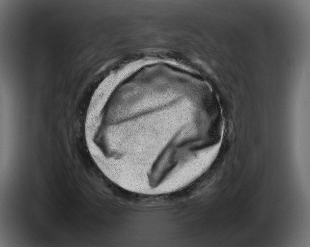 X0000082941159200703020121