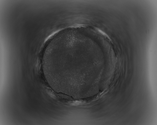 X0000082941160200703020121