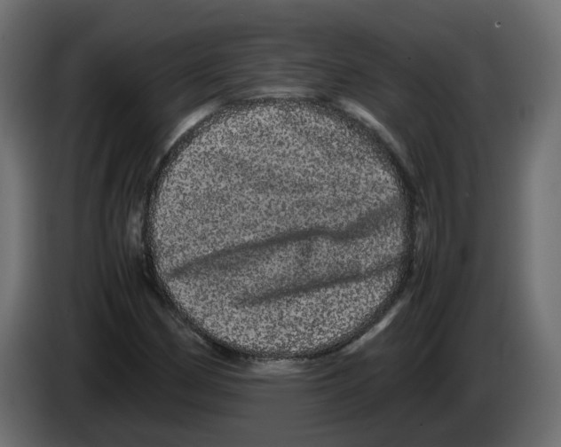 X0000082941162200703020121