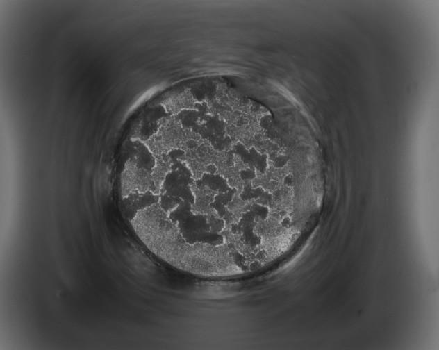 X0000082941163200703020121