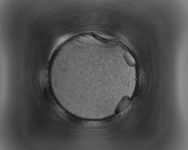 X0000082941164200703020121