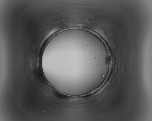 X0000082941165200703020121