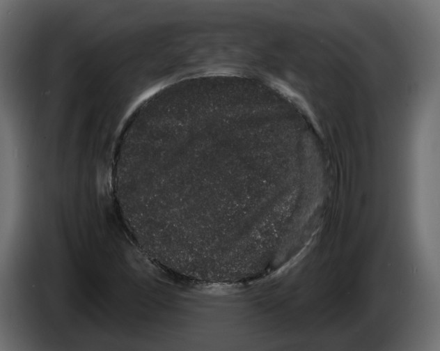 X0000082941166200703020121