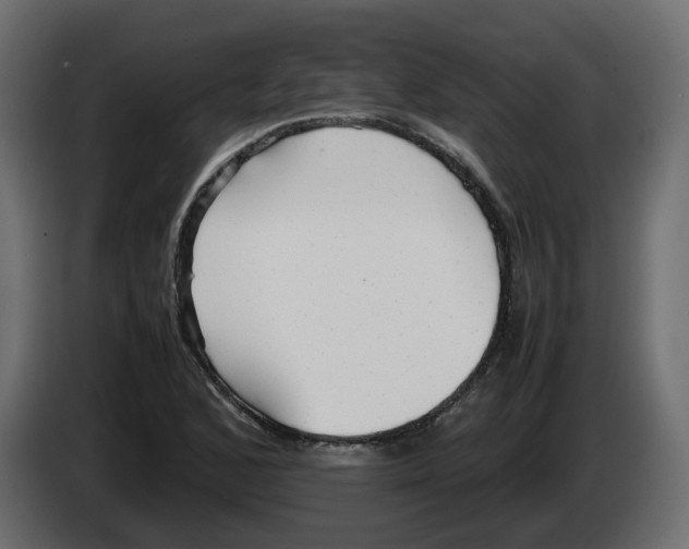 X0000082941168200703020121