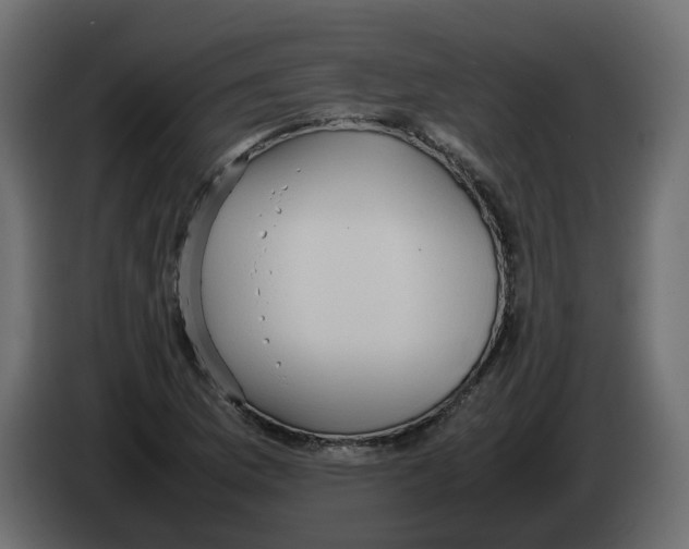 X0000082941169200703020121