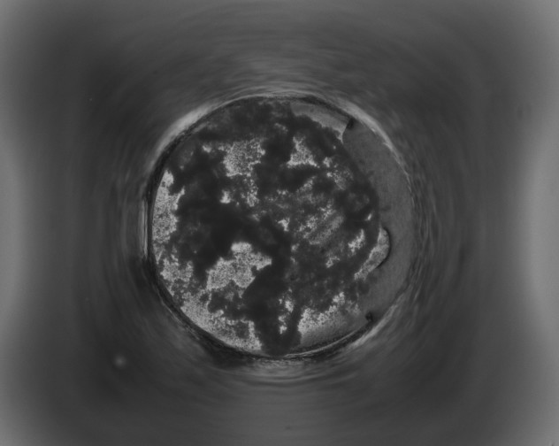 X0000082941171200703020121