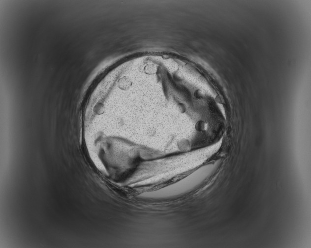 X0000082941175200703020121