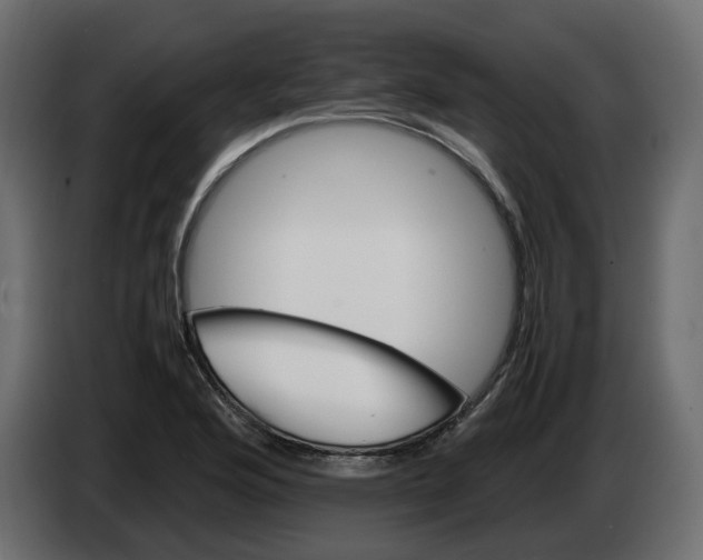 X0000082941176200703020121