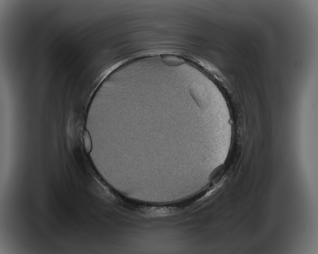 X0000082941177200703020121