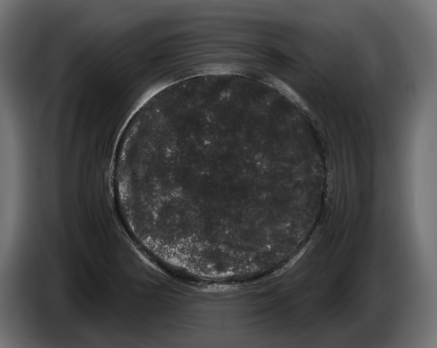 X0000082941178200703020121