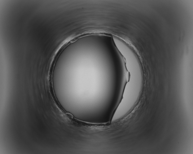 X0000082941181200703020121