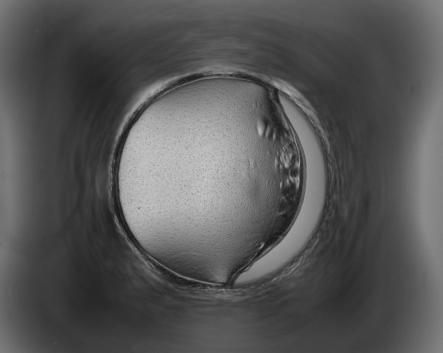 X0000082941183200703020121