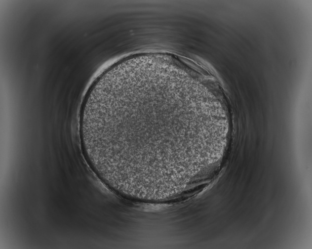 X0000082941184200703020121