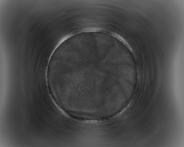 X0000082941186200703020121