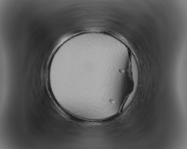 X0000082941187200703020120