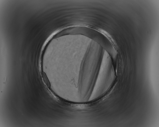 X0000082941188200703020120