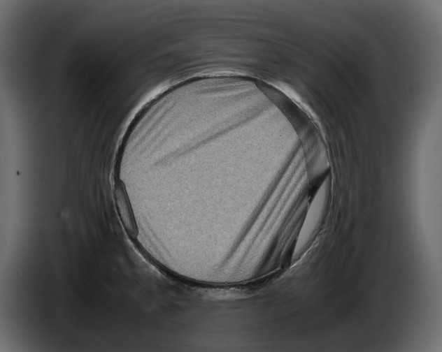 X0000082941189200703020120